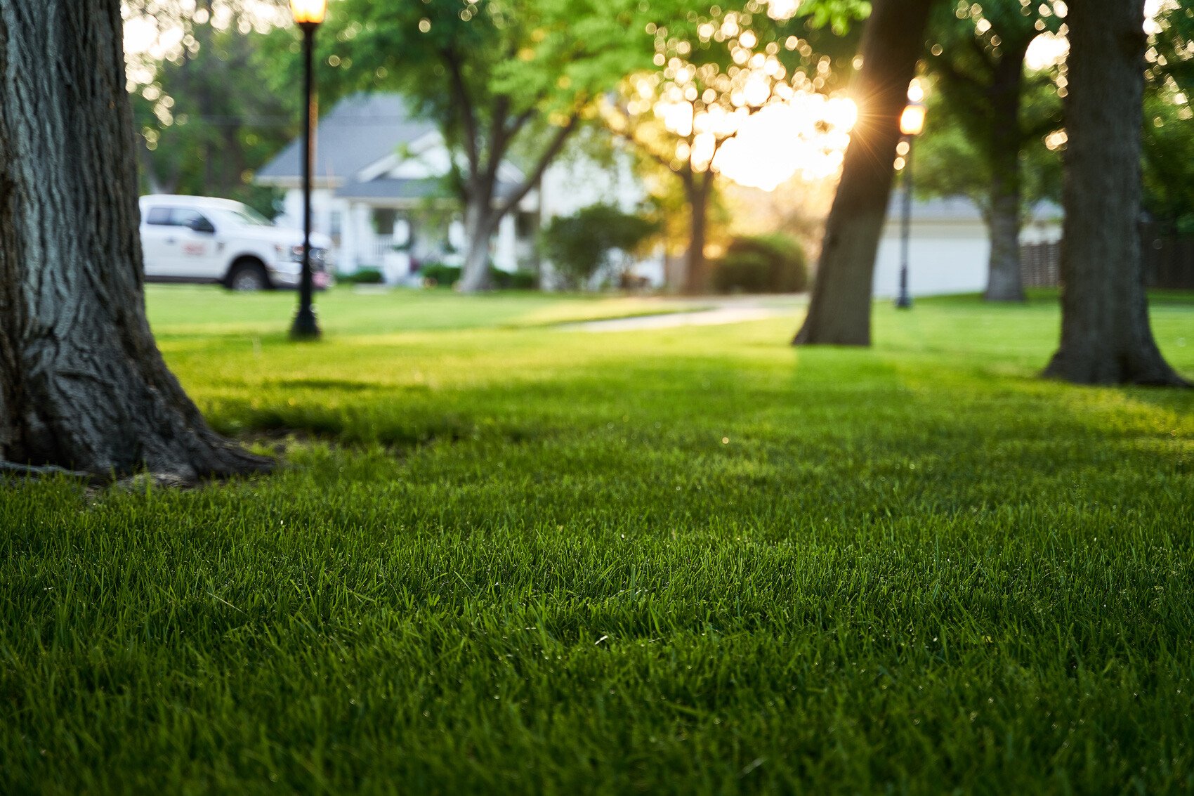 Conservation matters: Lawn mowing tips that benefit wildlife habitat