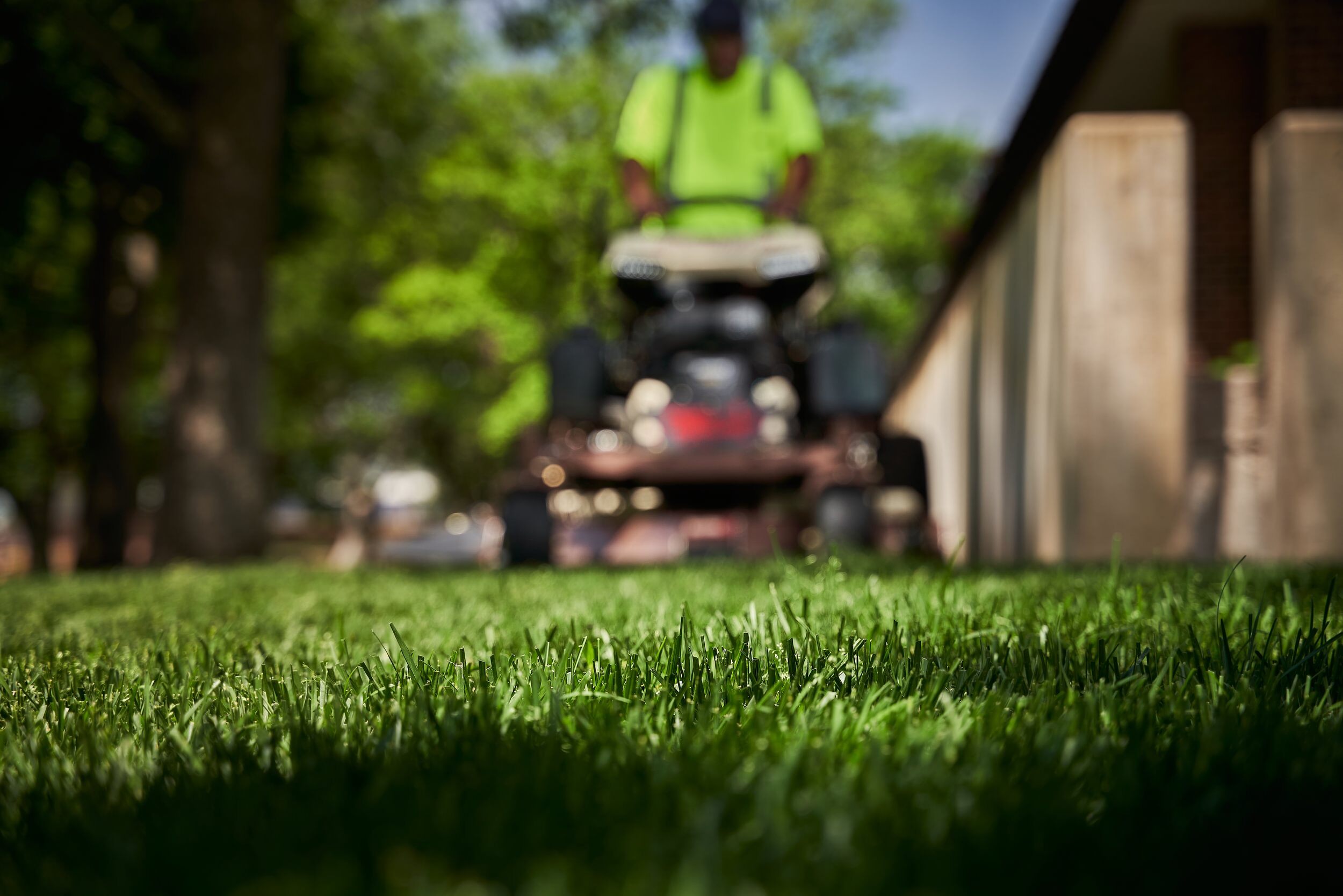 Make your lawn a place you never want to leave